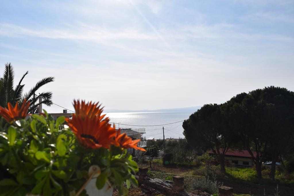 Petra Thea Apartment Καλαμάτα Εξωτερικό φωτογραφία
